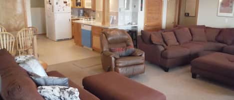 TV, fireplace, DVD player, ping pong