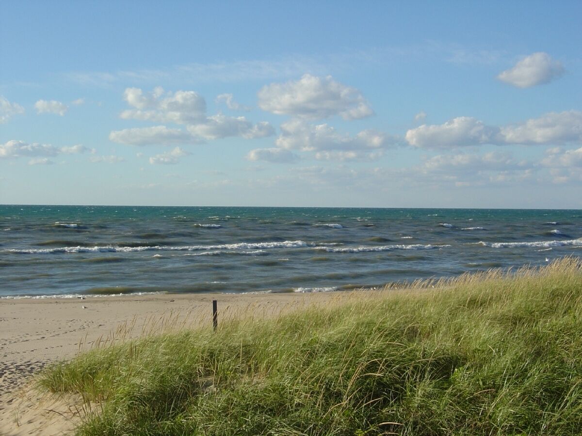 En strand med vågor, en sandstrand och gräsklädda sanddyner.