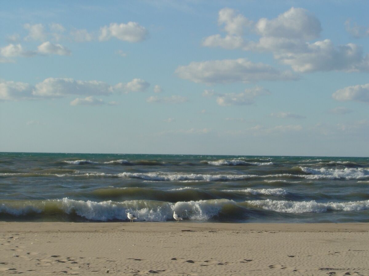 Ein Strand mit Wellen und blauem Himmel.