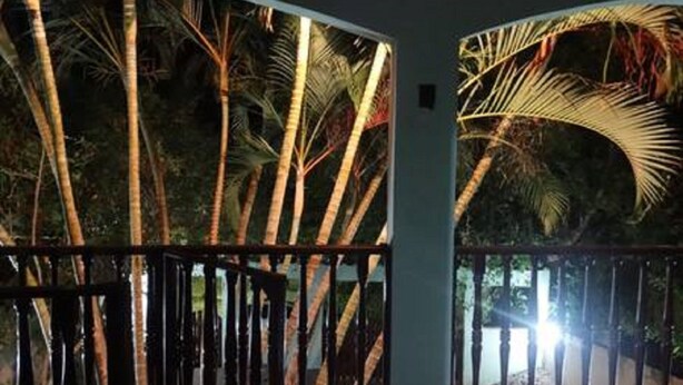A view through a curved glass door with bamboo plants outside.