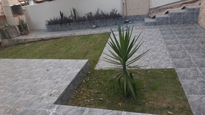A courtyard with a palm tree, stone tiles, and a grassy area.