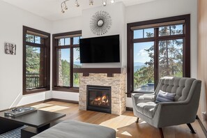 TV, fireplace