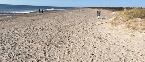 Sun-loungers, beach towels