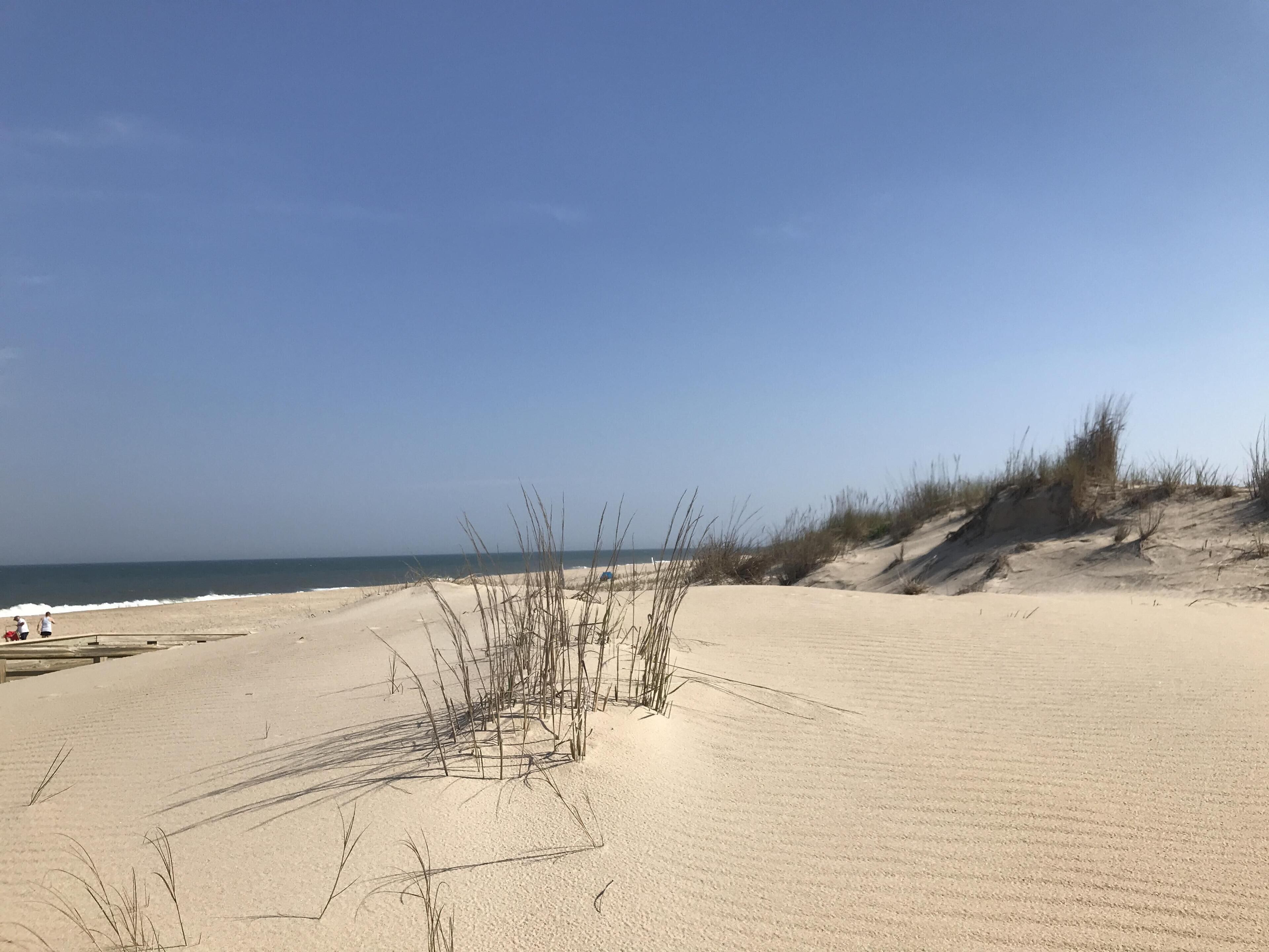 The beach at Fenwick Island State Park, just a few minutes drive away.