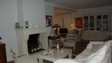 TV, fireplace, ping pong, books