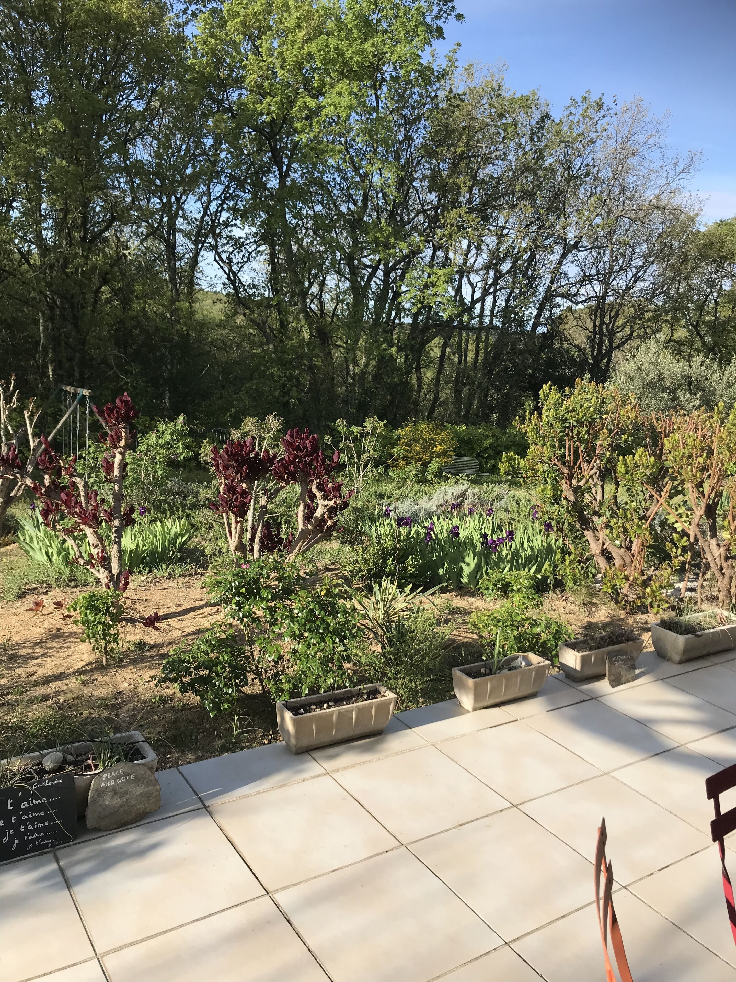 Terrein van de accommodatie