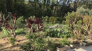 A garden with various plants and a tiled patio area. - Comfortable villa, heated pool in a quiet area, excluding subdivision (Sainte-Anastasie)