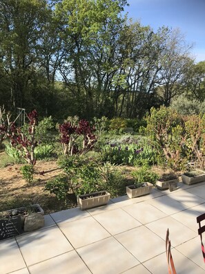 Área da propriedade