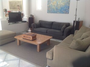 Televisión, chimenea, reproductor de DVD, libros