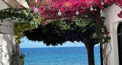 Naturehouse with private swimmingpool close to Cabo the Gata natural park.