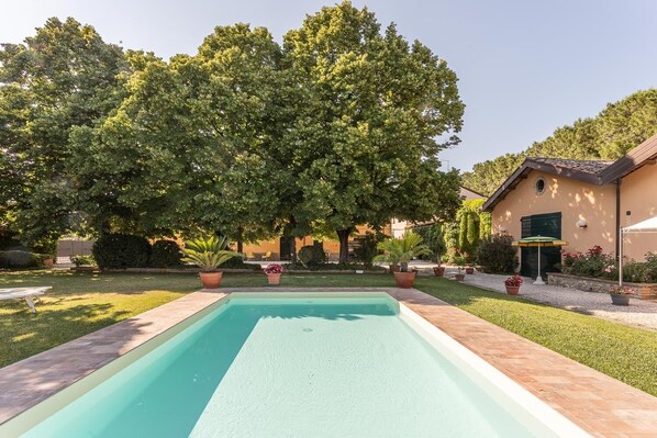 Una piscina rectangular con borde de azulejos, rodeada de césped cuidado y plantas en macetas.