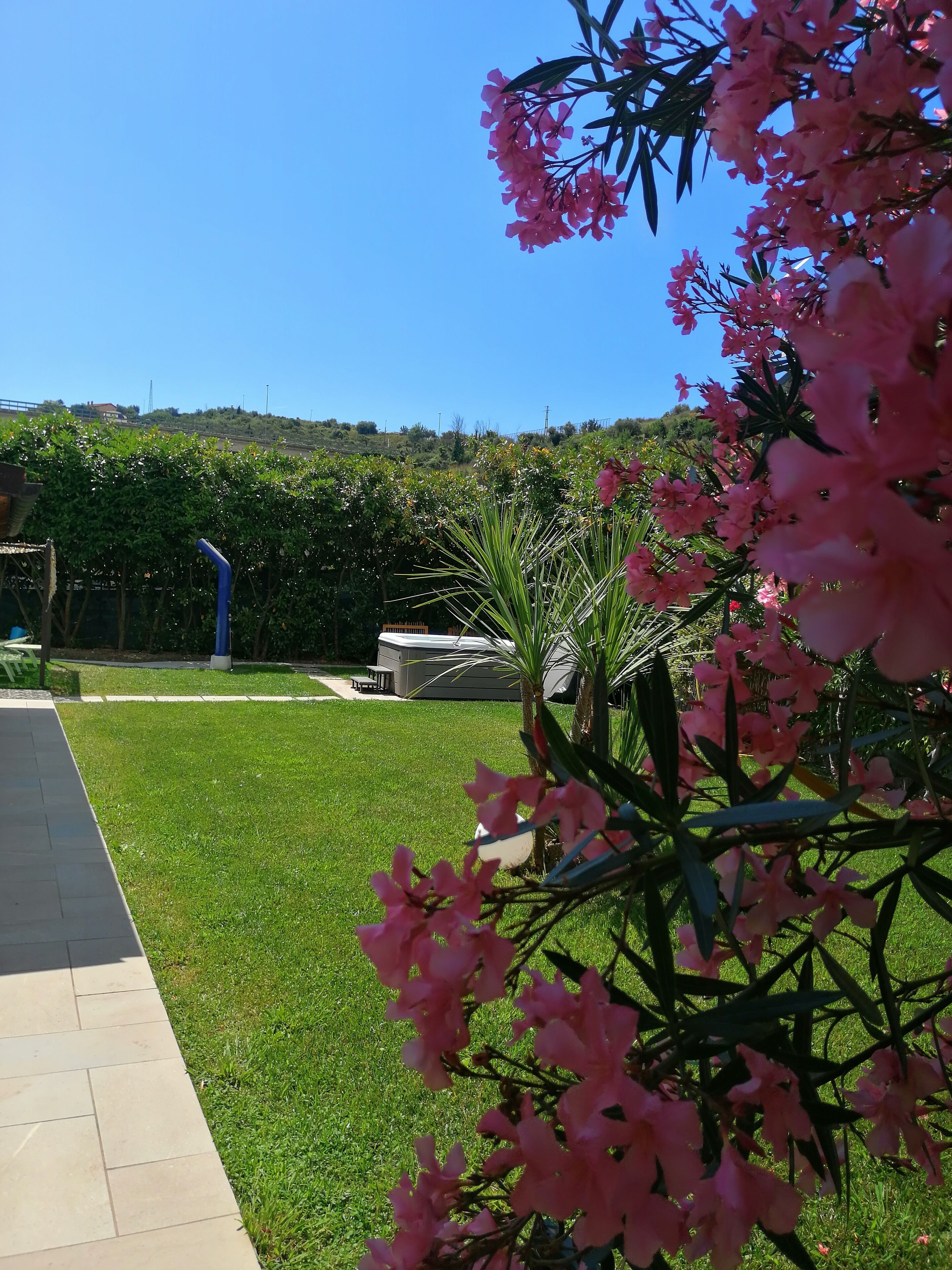 Terrein van de accommodatie