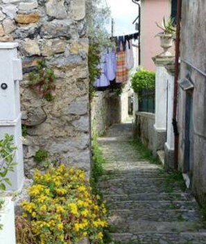 Stroll through a charming, historic alleyway lined with vibrant flowers and traditional architecture.