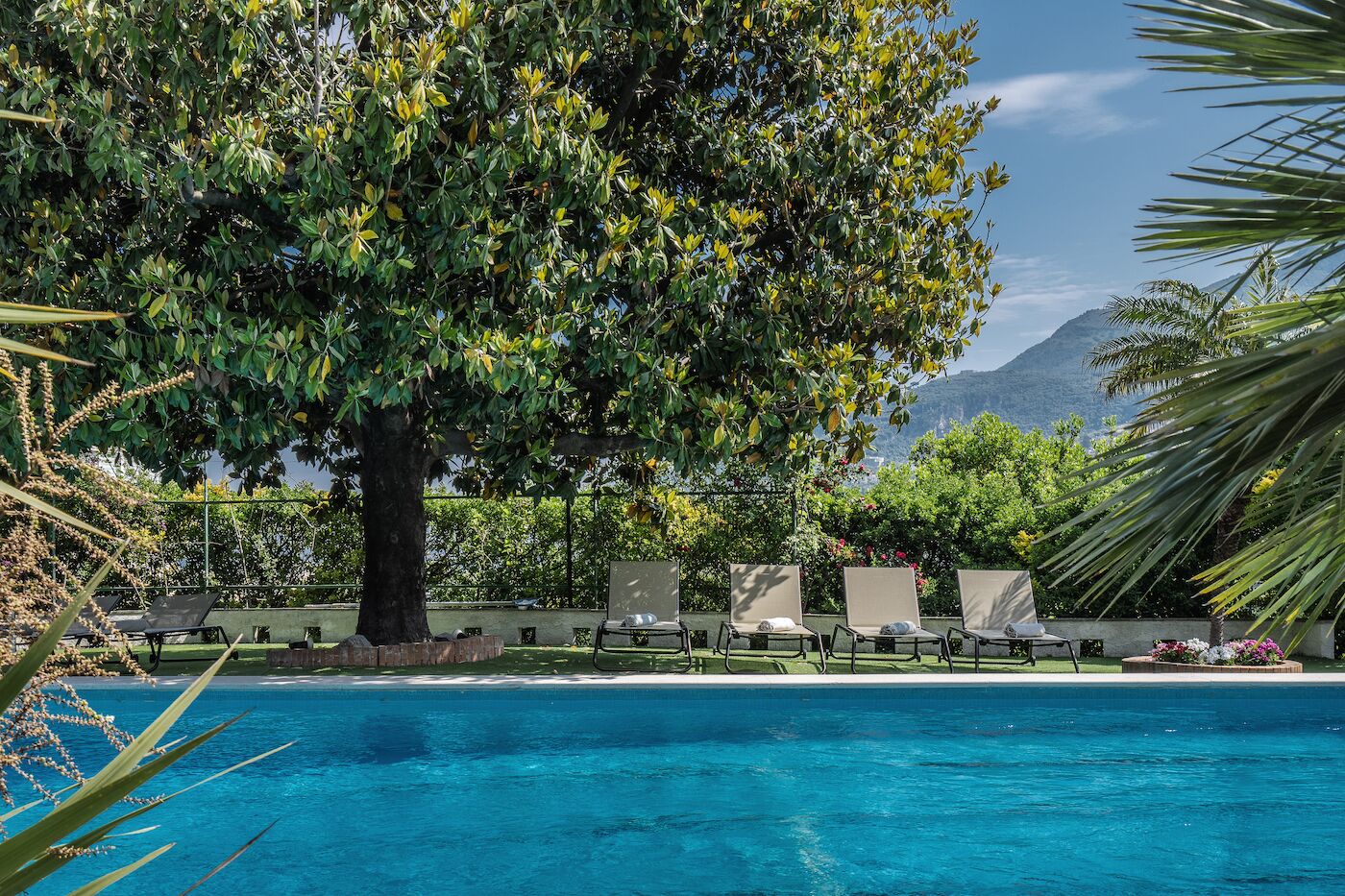 Alberca al aire libre 