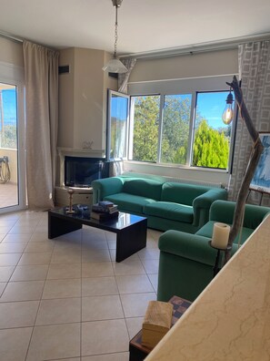 Smart TV, fireplace, DVD player, books