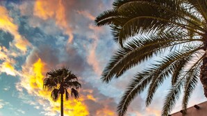 A desert garden with a palm tree, rocks, and a building with a sign reading "Hotel California". - Hotel California - A Town & Desert Boutique Hotel (Palm Springs)
