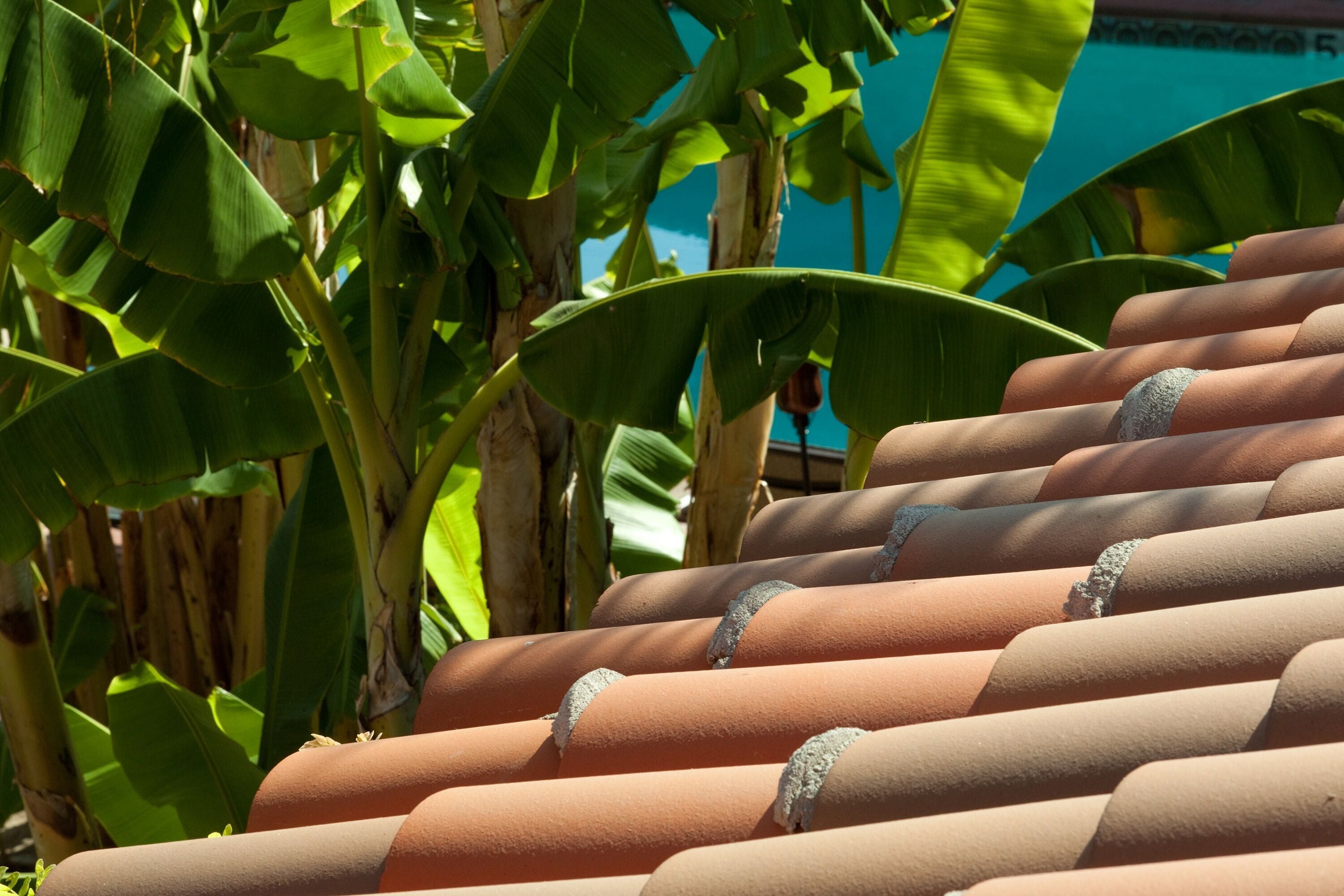 Foto - Hotel California