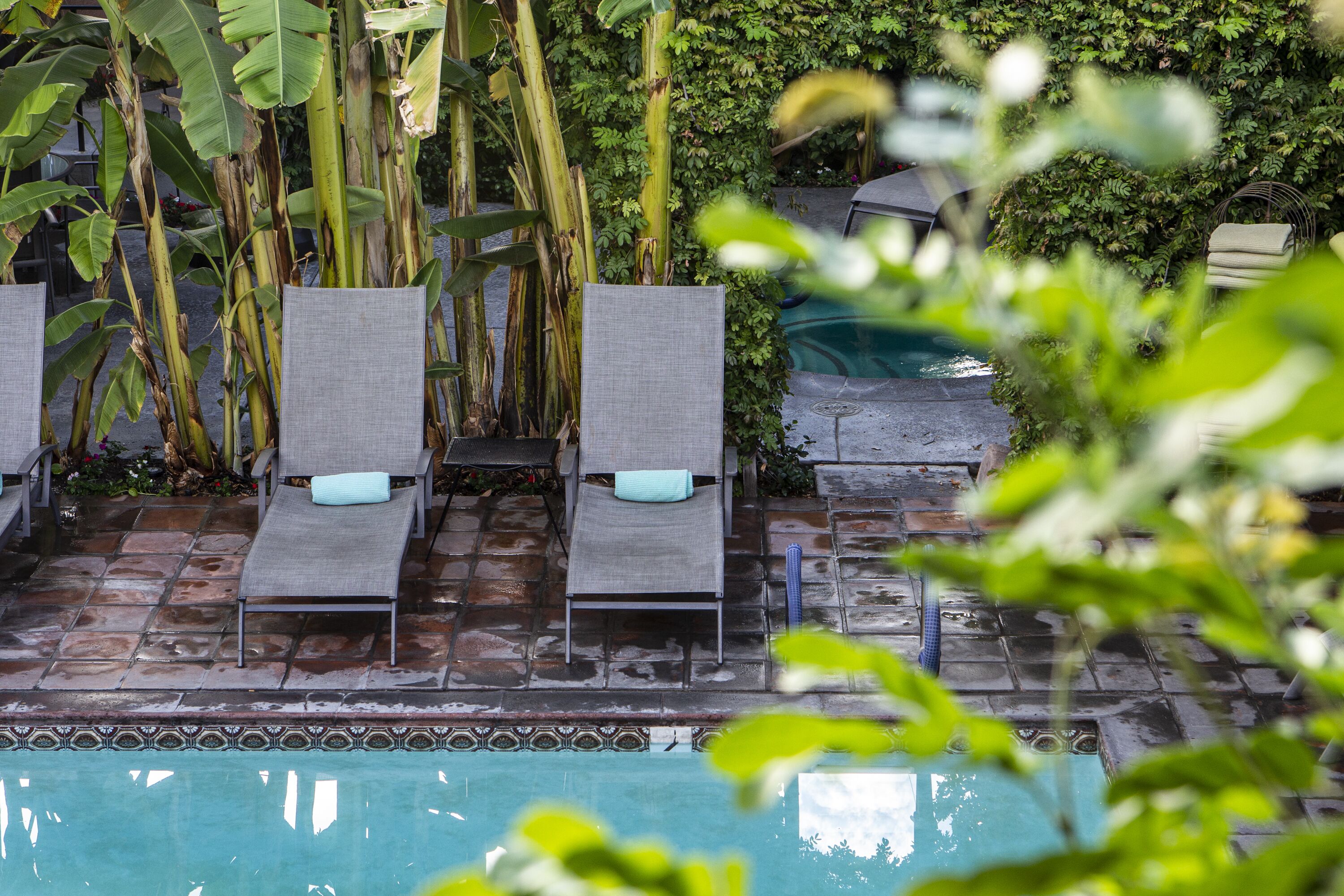 Foto - Hotel California