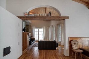 TV connectée, cheminée, livres, médiathèque