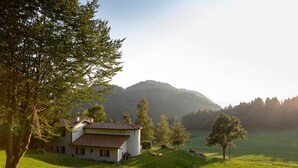 Eksteriør
