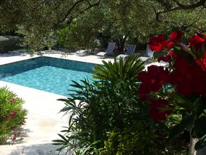 Piscina externa