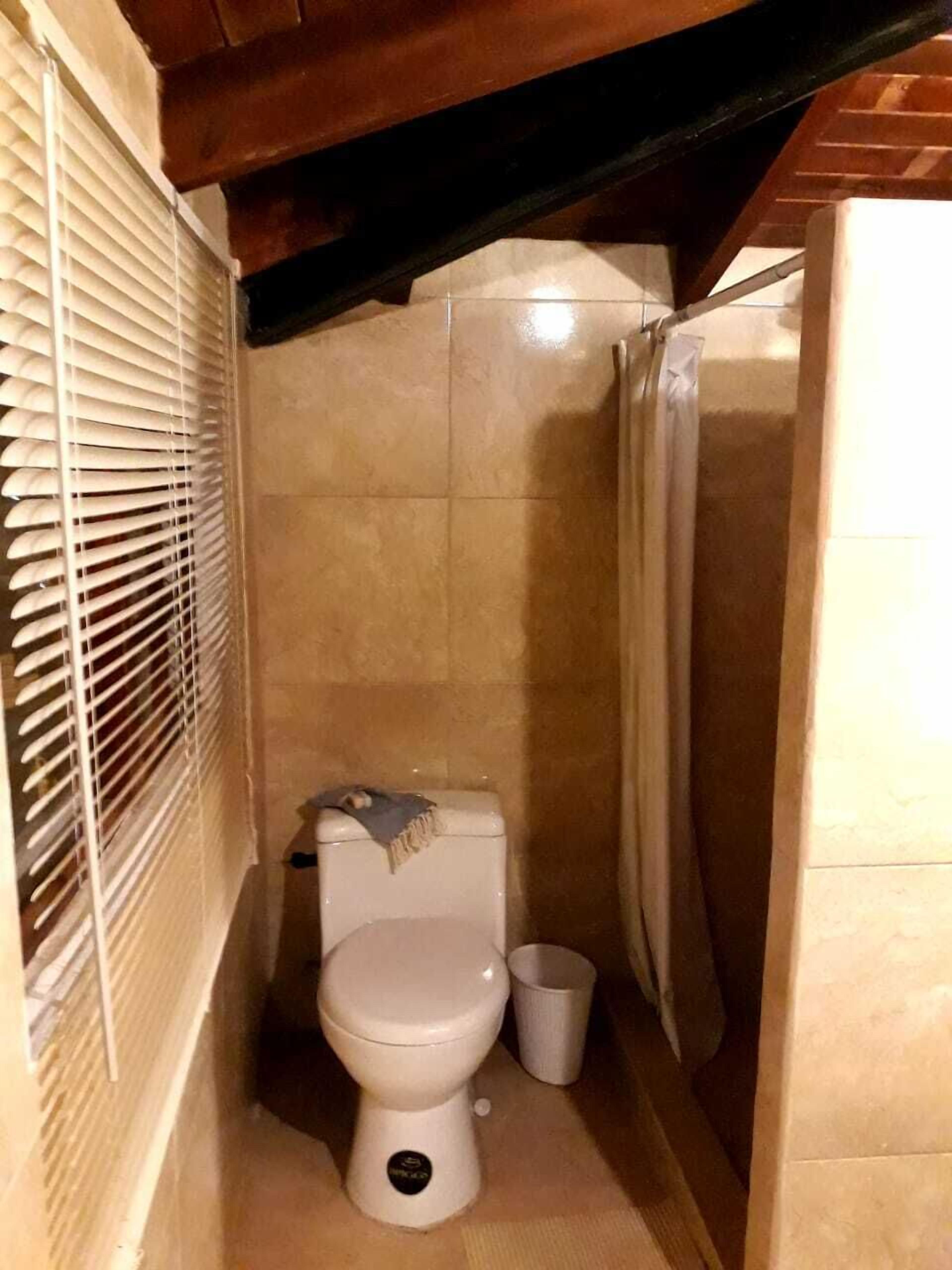 Towels, soap, toilet paper