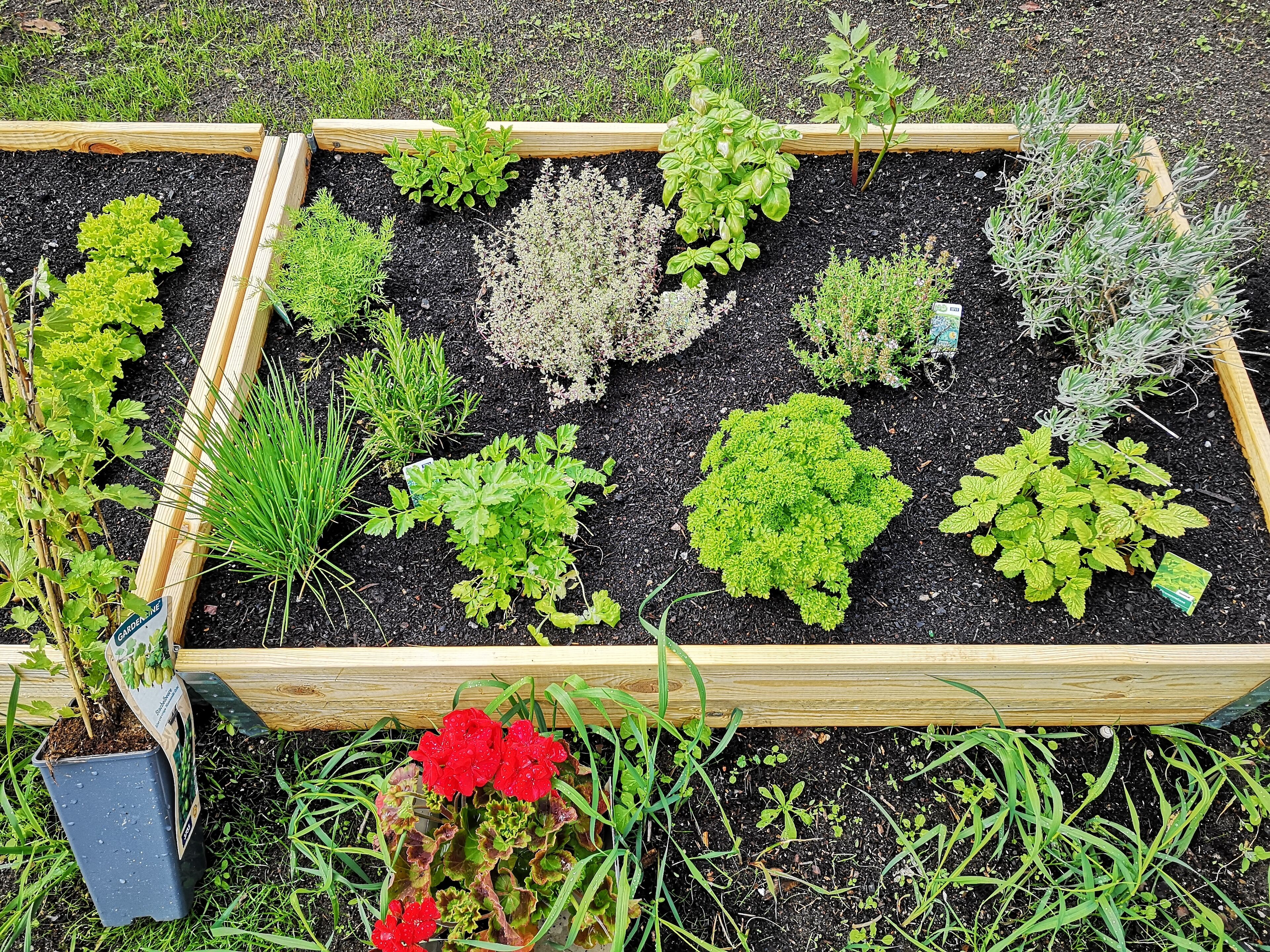 Áreas de la propiedad