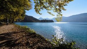 Un sentier au bord du lac, bordé d’arbres, offrant une vue dégagée sur les montagnes lointaines.
