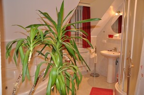 Shower, jetted tub, hair dryer, towels