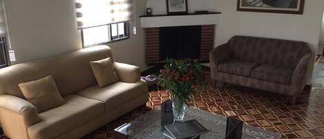 TV, fireplace