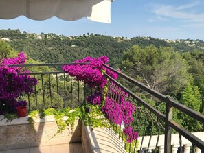 Property grounds - Beautiful house - Pool - Stunning views. Between Vence and St Paul (Vence)