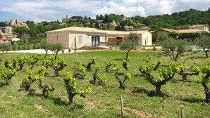 Un vignoble avec des rangées de vignes et un bâtiment en pierre surmonté d’un toit en tuiles.