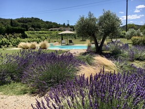 Pool - Gîte Casello in Vénéjan (Vénéjan)