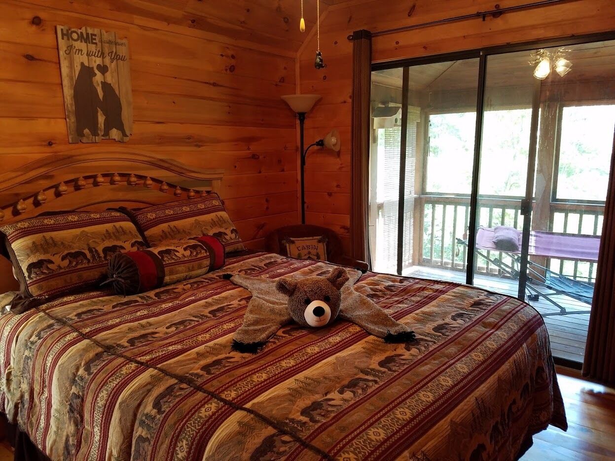 River's Rest on the Cartecay- Riverfront Cabin