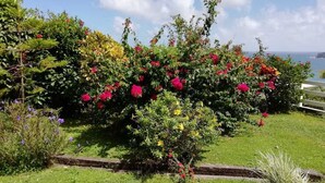 Un jardí amb plantes de flors diverses i una tanca de fusta.