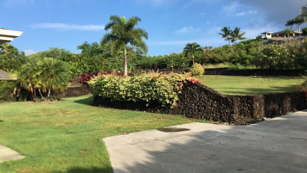 Un jardín ajardinado con una palmera, un muro de piedra y un sendero de hormigón.