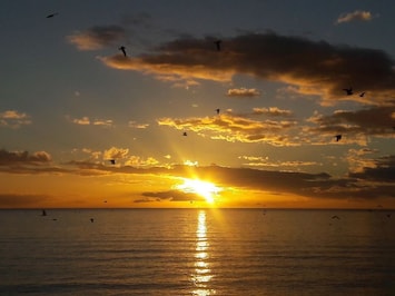 Sunrise on the Sea of Cortez
