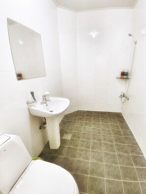 Une salle de bain avec un lavabo blanc, des toilettes, une douche et un miroir.