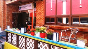 Une maison d’hôtes à la façade colorée, avec une enseigne indiquant « Jeju Muslim Travel », et une variété de plantes en pot disposées à l’extérieur.