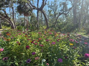 Miscellaneous - 3 large RV sites with awesome lake for FUN and scallop season memories!! (Steinhatchee)