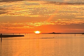 Miscellaneous - 3 large RV sites with awesome lake for FUN and scallop season memories!! (Steinhatchee)