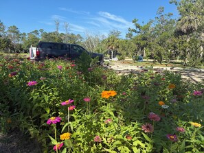 Ein Garten mit verschiedenen Blumen und einem abgestellten Fahrzeug.
