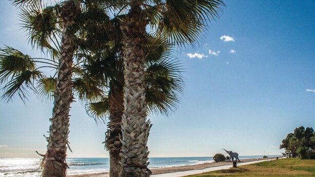 A beach with palm trees, a pathway, and a sculpture.