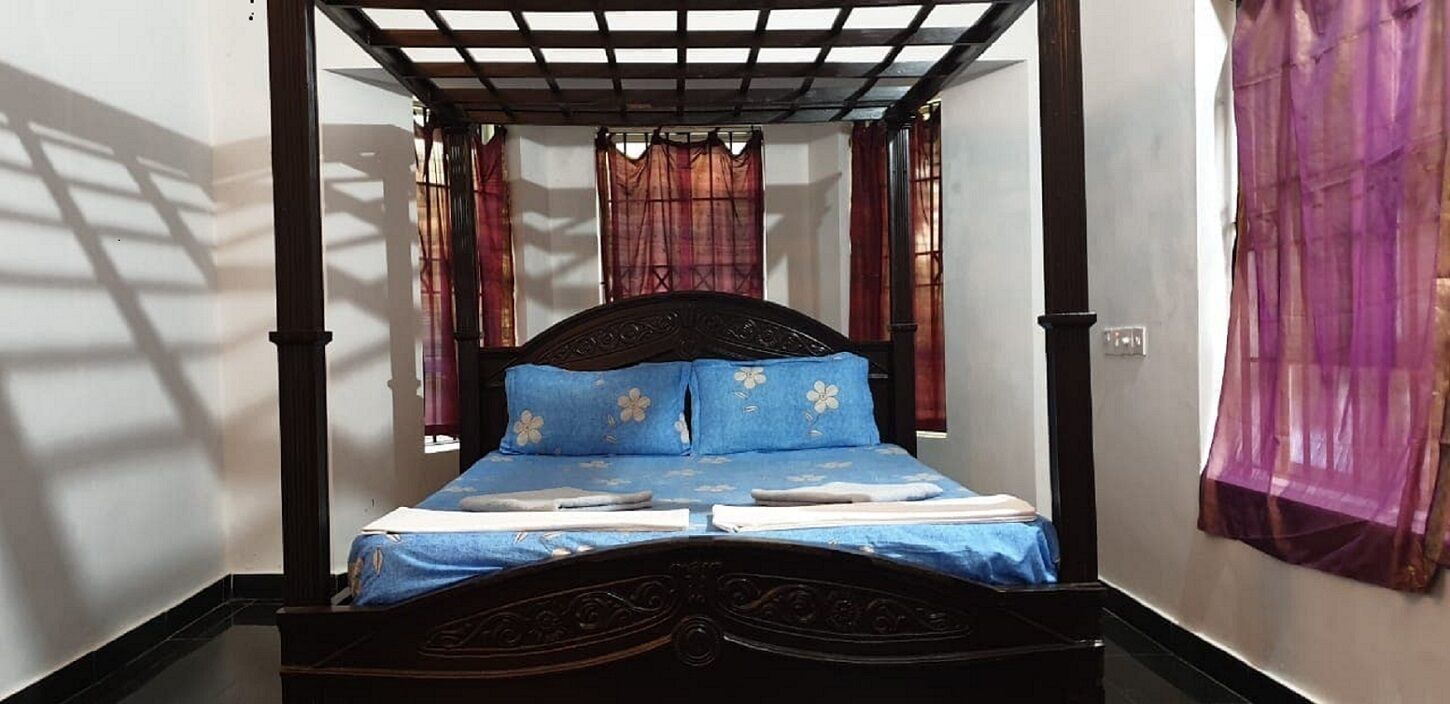 CRYSTAL ROOM - DREAM TURTLE