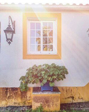 Exterior detail - Country house with fireplace in quiet area (Arraiolos)