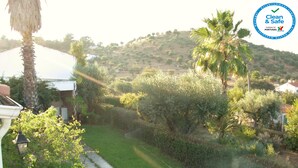 A garden with a pathway, palm trees, and a white building. - Country house with a pool in the Alentejo (Arraiolos)