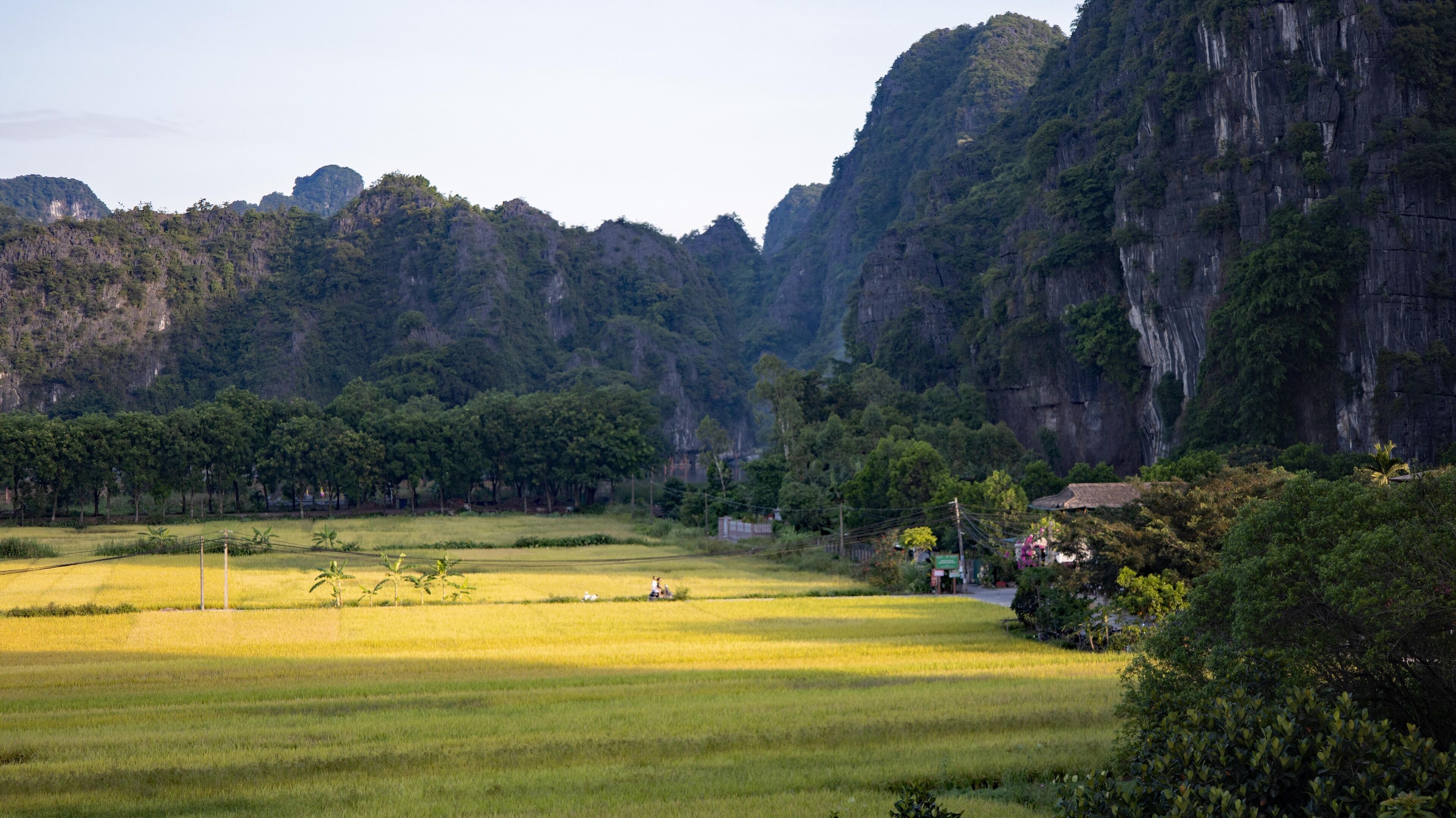 A rural landscape with fields, trees, and a house near a cliff.