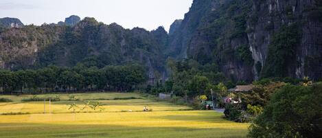 A rural landscape with fields, trees, and a house near a cliff.