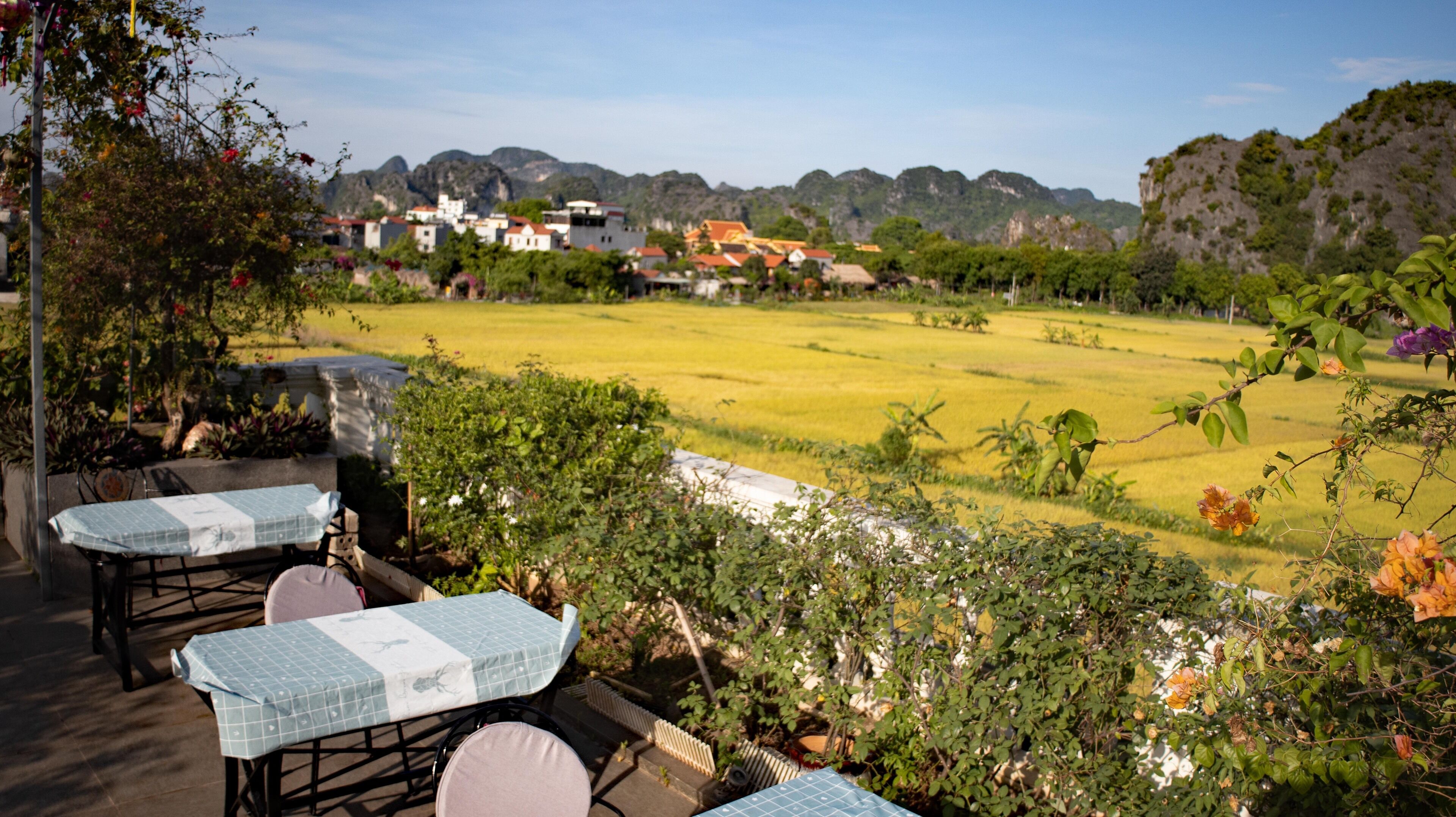 A terrace with outdoor seating, overlooking a rice field and distant buildings.