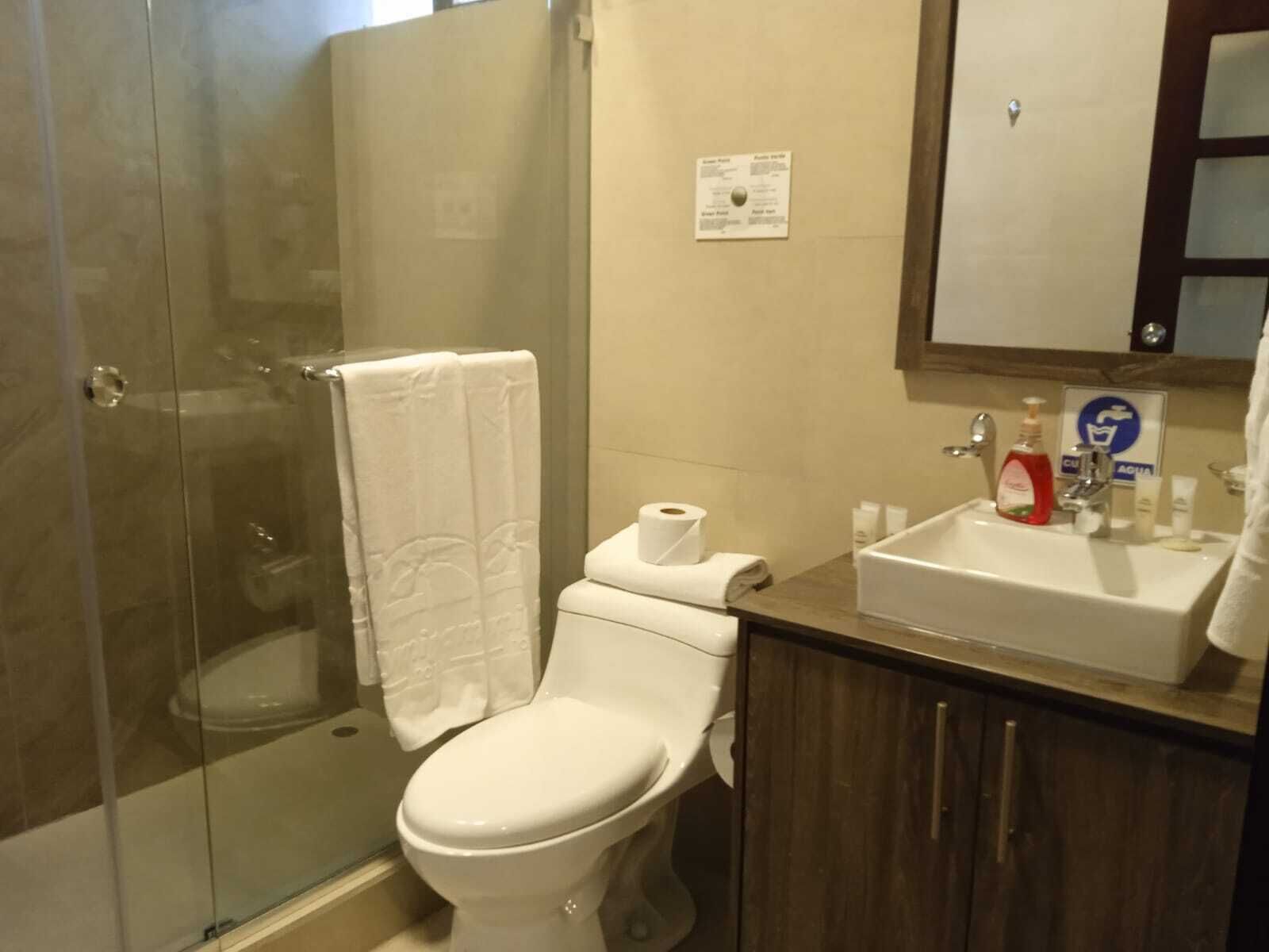 A bathroom with a glass shower enclosure, a toilet, a sink with toiletries, and a mirror.